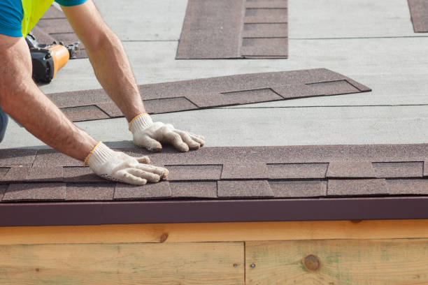 Best Roof Insulation Installation  in Pocomoke City, MD
